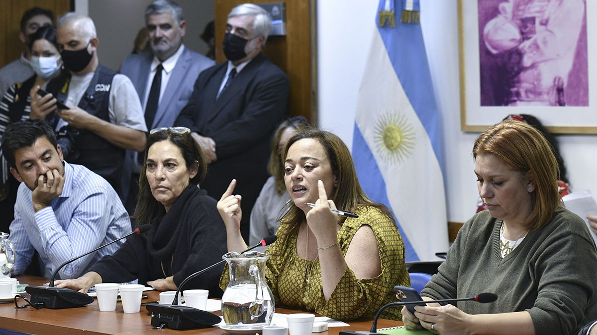 Diputados en vivo: la comisión que trata las modificaciones a la ley de alquileres es conducida por Cecilia Moreau.
