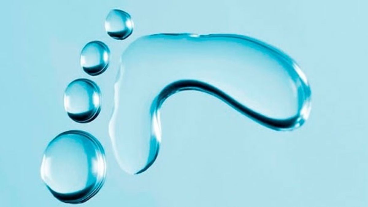 Foto: Aquafides Foto: Aquafides