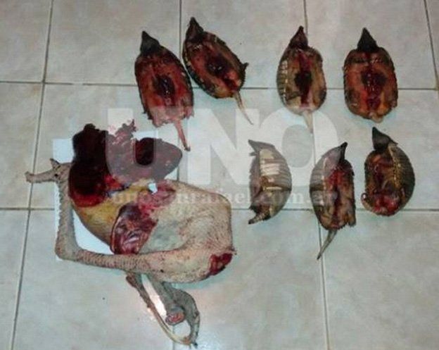 Arrestaron a tres cazadores furtivos en San Rafael