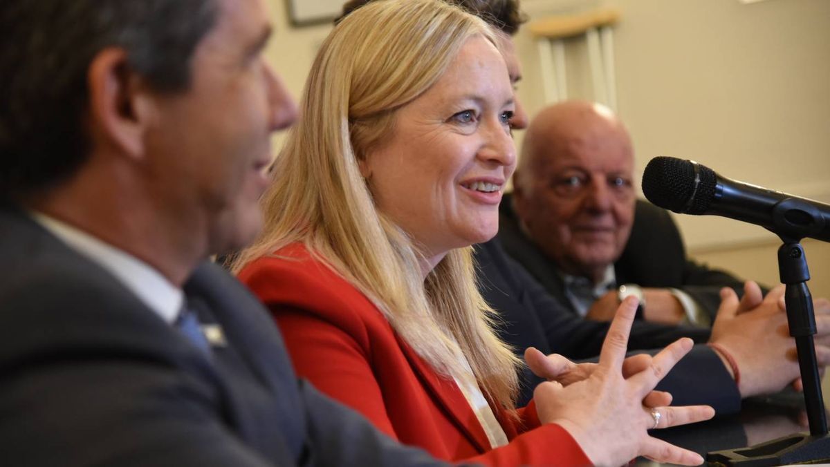 Hebe Casado presentó la Ley Hojarasca en la Legislatura de Mendoza.