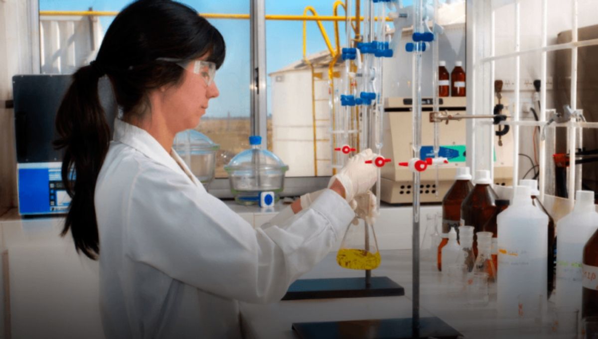 (Foto: Rosario Bioenergy) (Foto: Rosario Bioenergy)