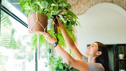 Con cuerda de yute y unas anillas metálicas puedes hacer unas maceteras colgantes para tus plantas.