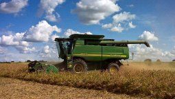 Uno de cada cuatro dólares exportados proviene de la soja