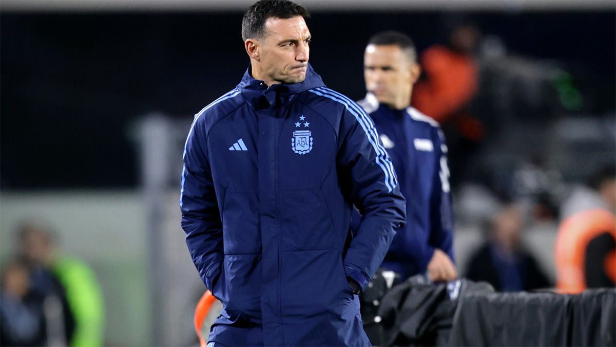 Copa América 2024: Lionel Scaloni fue suspendido y no dirigirá a la  Selección argentina contra Perú