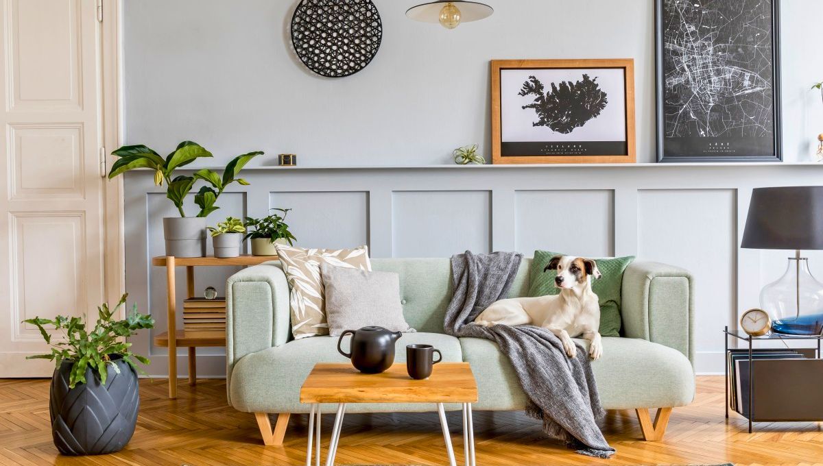 La nueva tendencia en paredes que le dará una nueva cara a tu hogar: de qué se trata