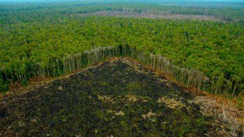 El 10% de áreas silvestres del planeta desaparecieron en dos décadas
