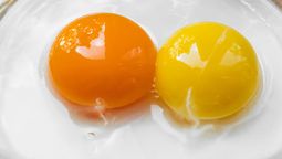 El hilito blanco que está pegada a la yema, no altera bajo ningún concepto el valor nutricional del huevo.