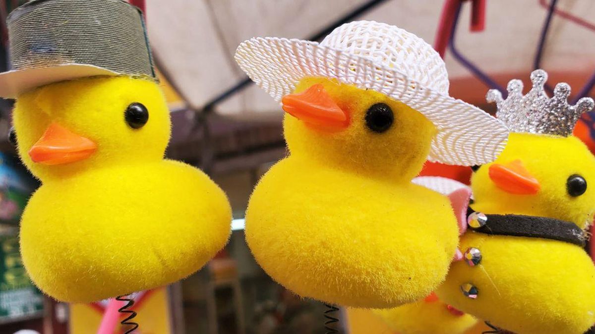 Qué significa tener un patito amarillo en la cabeza