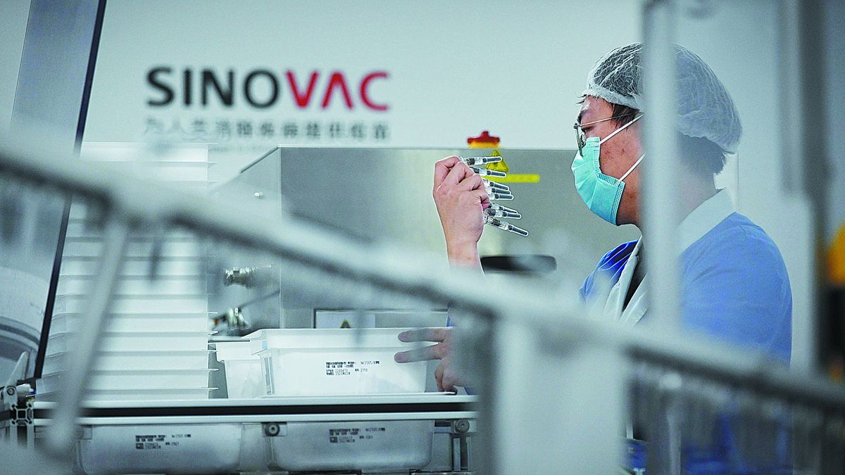 Un técnico controla las vacunas contra COVID-19 en una fábrica de Sinovac en Beijing el 24 de septiembre. PARA USO DE CHINA DAILY &nbsp;