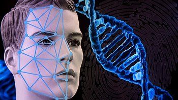 Un estudio revela que puede haber décadas de diferencia entre la edad biológica y la real