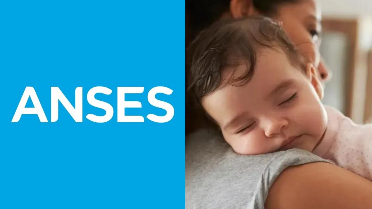 ANSES: cuándo sería el próximo aumento para AUH