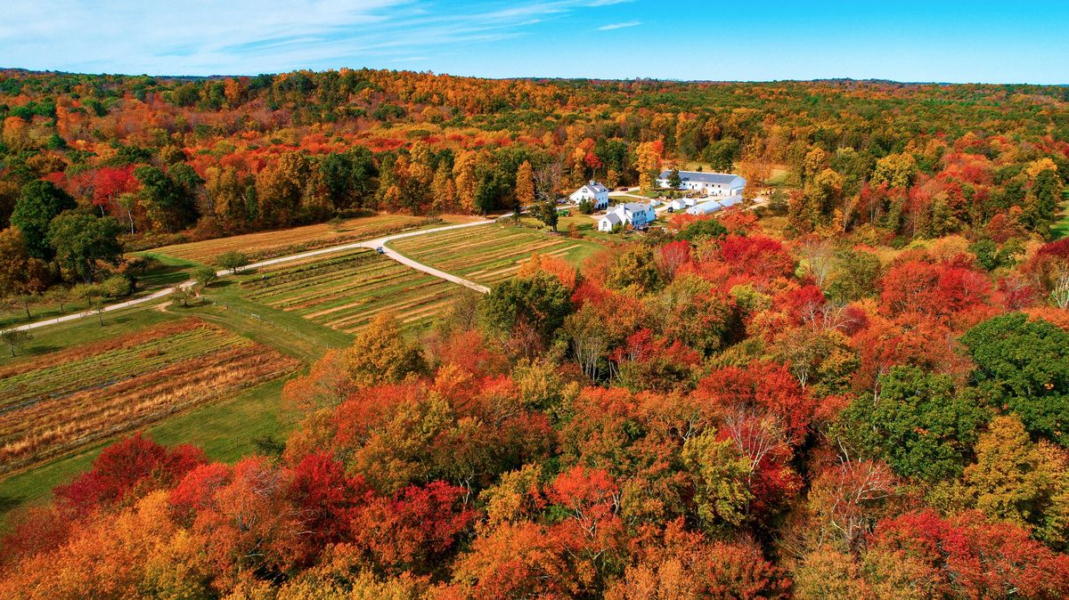 Los paisajes que ofrece este pueblo son encantadores. Los paisajes que ofrece este pueblo son encantadores.