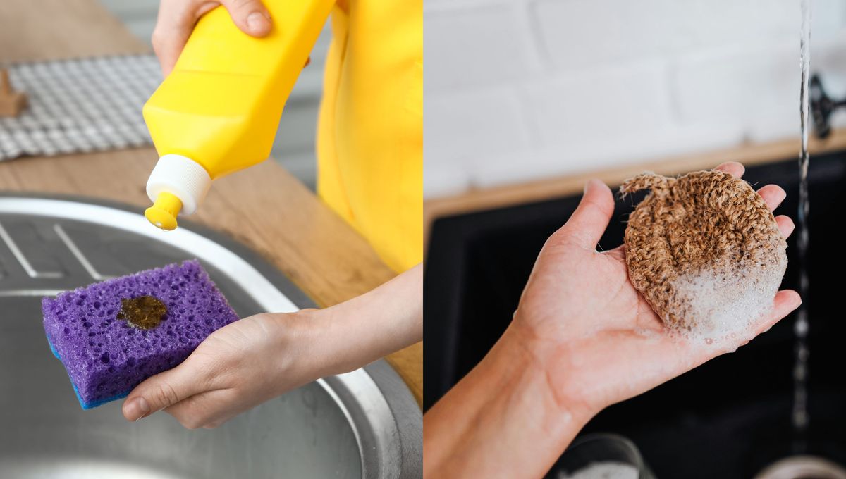 Consejos para comprar una esponja de platos.