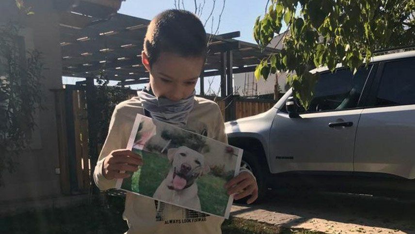 El emocionante encuentro de un niño con autismo y su perra en Mendoza