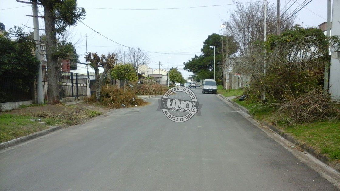 Así está abandonada la vecinal Lomas del Sur
