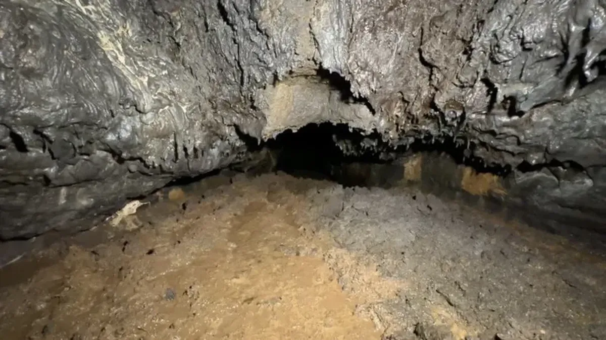 El descubrimiento sorprendió a un hombre que excavaba en su terreno.