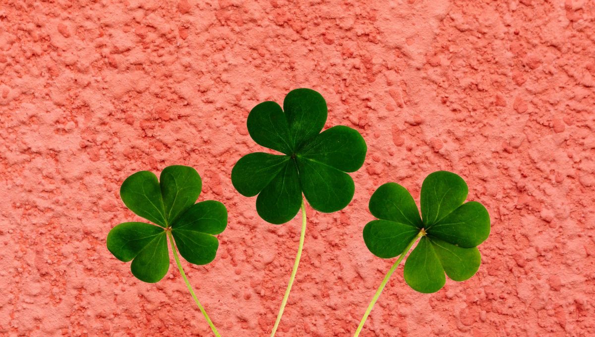 El color de la suerte para este miércoles es el coral. El color de la suerte para este miércoles es el coral.