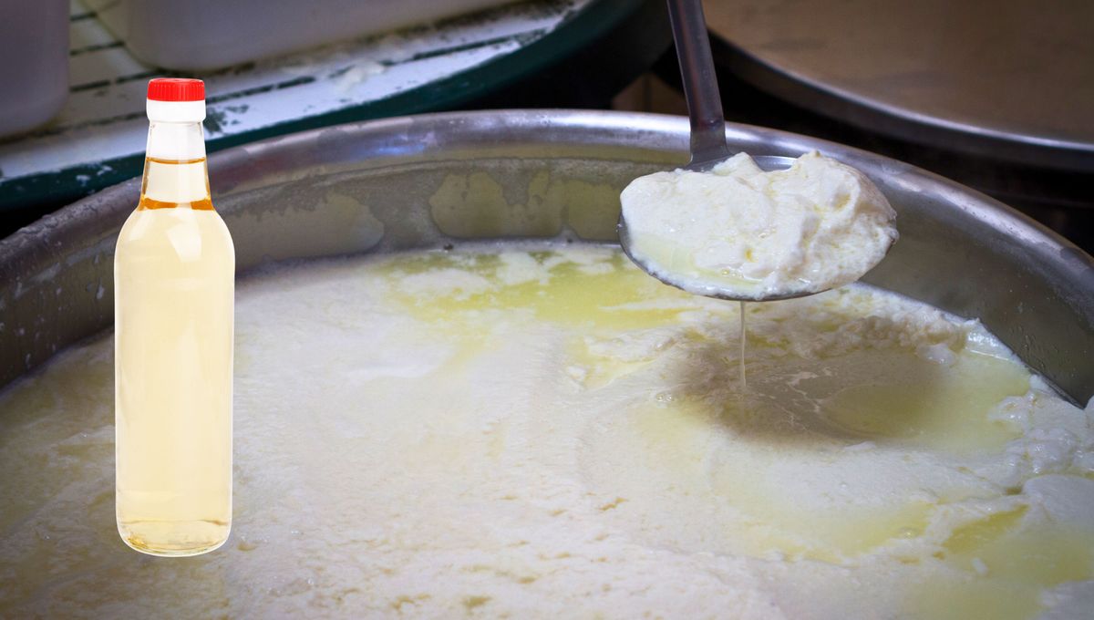 Esta ricota se puede usar para recetas dulces o saladas. Esta ricota se puede usar para recetas dulces o saladas.