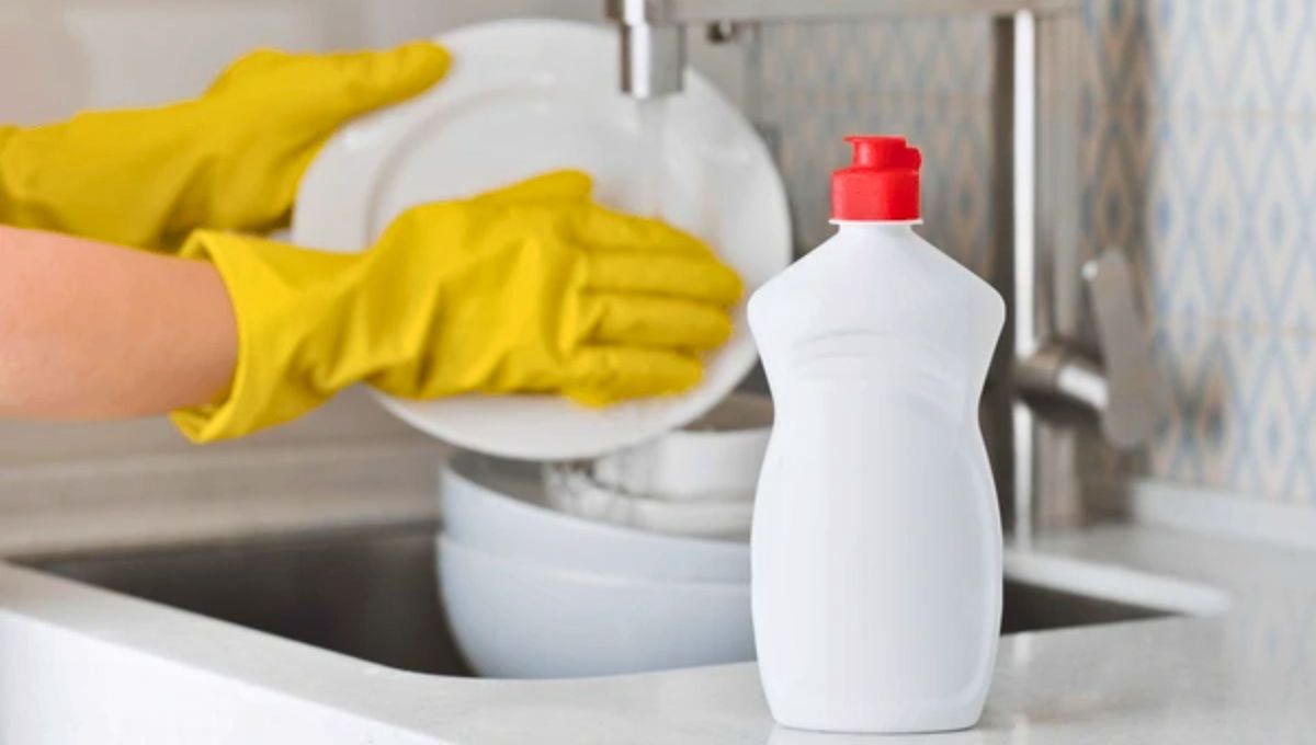 Con este truco casero, puedes llevar el lavado de tus platos a otro nivel. Con este truco casero, puedes llevar el lavado de tus platos a otro nivel. 