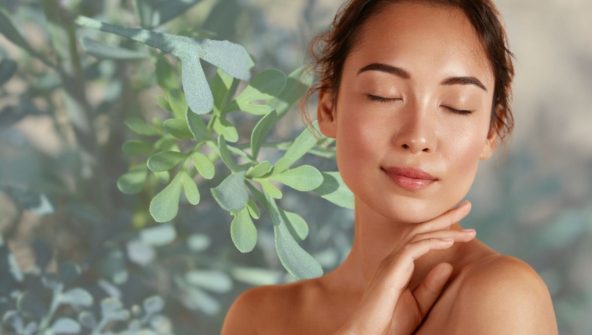 La hierba que regenera la piel, es antioxidante, funciona como analgésico natural y está en varios jardines