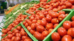 Aseguran que el precio del tomate bajó el 50%.