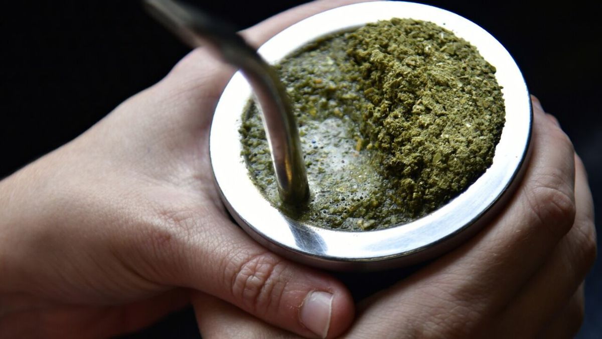 Espuma en la yerba mate: qué significa y por qué es una buena señal de preparación Espuma en la yerba mate: qué significa y por qué es una buena señal de preparación