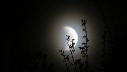 Eclipses lunares a través de los siglos: cómo la luna sangrienta aterraba a la humanidad