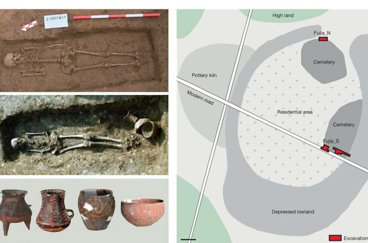 El estudio llegó a un resultado inesperado para China. El estudio llegó a un resultado inesperado para China.