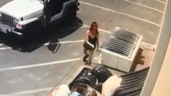 Video: el repudiable momento en que una mujer tira siete cachorros a un contenedor