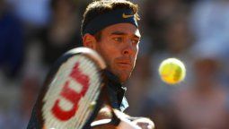 Del Potro queda como única opción argentina en Roland Garros