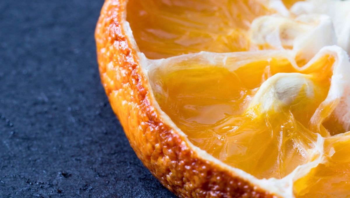 Proba los amplios beneficios de estas semillas. Proba los amplios beneficios de estas semillas.