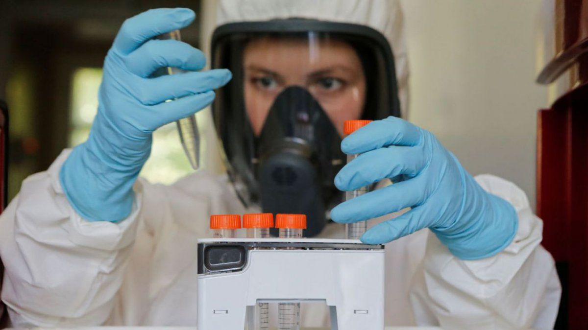 Esperanza. La vacuna rusa contra el Covid-19 produjo anticuerpos.