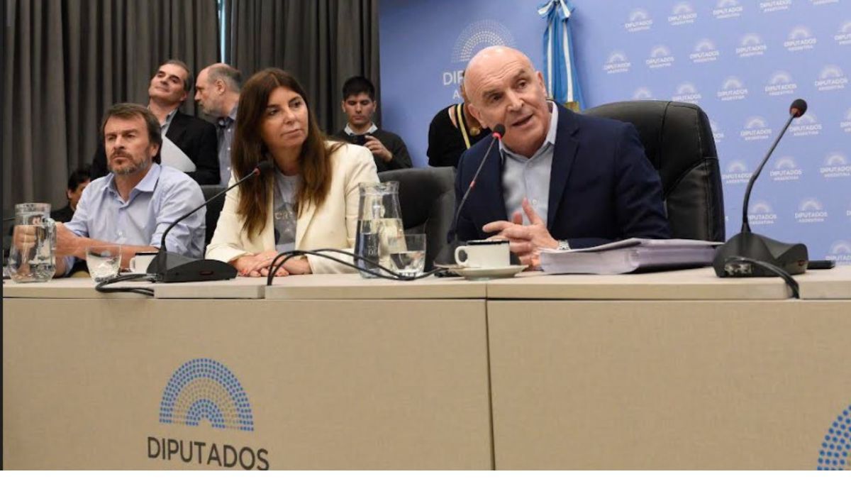 El diputado nacional del radicalismo, Lisandro Nieri, marcó las coincidencias que hubo para avalar el dictamen, y los reparos que le pusieron al texto original de la Ley Ómnibus. El diputado nacional del radicalismo, Lisandro Nieri, marcó las coincidencias que hubo para avalar el dictamen, y los reparos que le pusieron al texto original de la Ley Ómnibus.