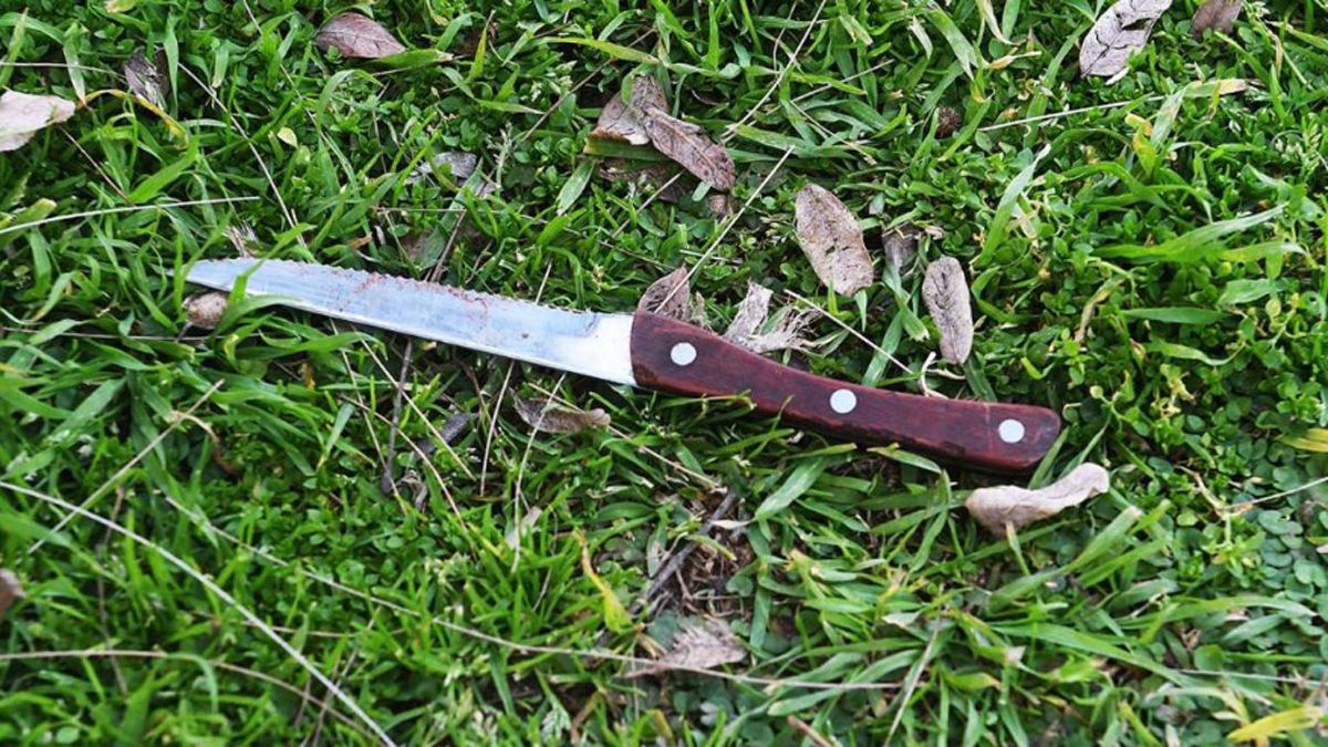 El cuchillo encontrado en un parque de Palermo por un periodista de un canal de TV, y que podría ser el arma empleada en el crimen El cuchillo encontrado en un parque de Palermo por un periodista de un canal de TV, y que podría ser el arma empleada en el crimen