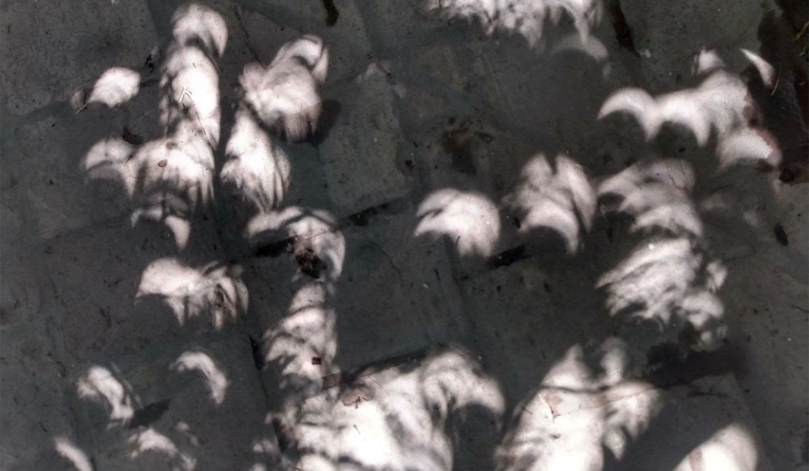 Mendoza: el extraño efecto del eclipse solar en las sombras. Foto: Josefina Canale