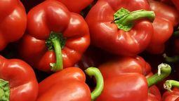 Beneficio de comer pimiento morrón, poderosa fuente de vitamina C.