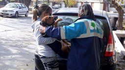 Rescataron a dos perras abandonadas en una casa de la Cuarta Sección