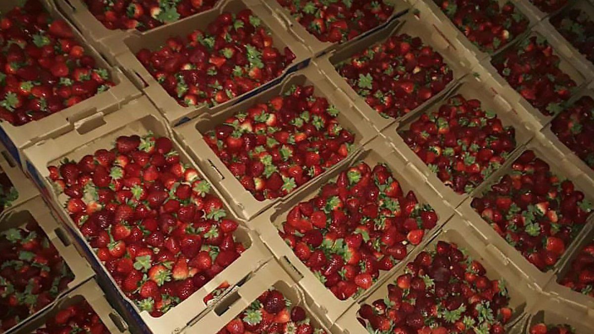 La frutilla, con precios que parten de los 100 y van a los 160 pesos