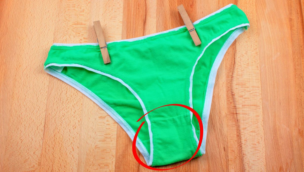 ¿Alguna vez te has preguntado sobre ese misterioso "bolsillo" en la ropa interior femenina? ¿Alguna vez te has preguntado sobre ese misterioso "bolsillo" en la ropa interior femenina? 