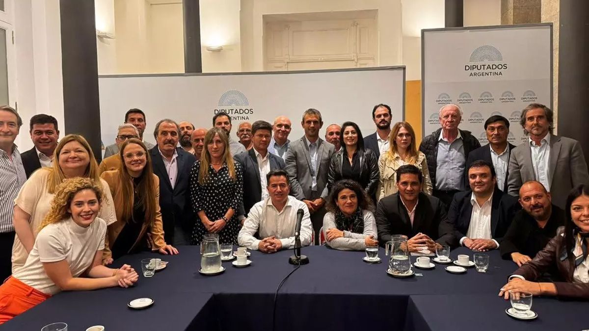 El bloque de La Libertad Avanza, ya sin Oscar Zago y ahora sin Lourdes Arrieta.