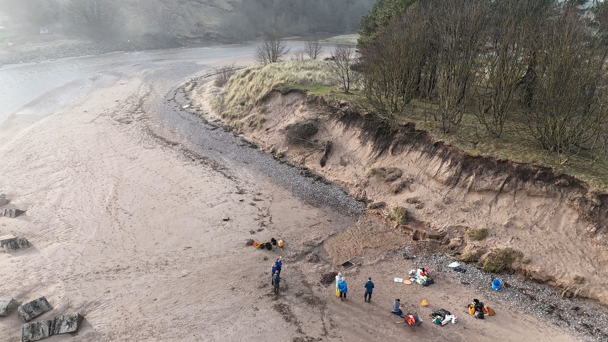 La playa en la que se realizó el descubrimiento. La playa en la que se realizó el descubrimiento.