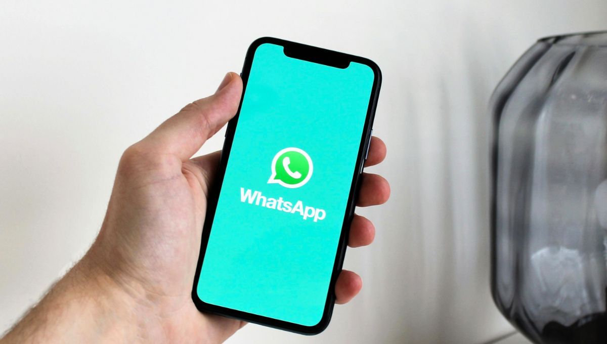 Puedes recuperar los archivos eliminados de WhatsApp de diferentes maneras