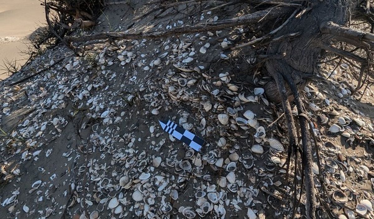 Descubrimiento de un histórico e increíble "tesoro" dejó sin palabras a México y EEUU Descubrimiento de un histórico e increíble "tesoro" dejó sin palabras a México y EEUU