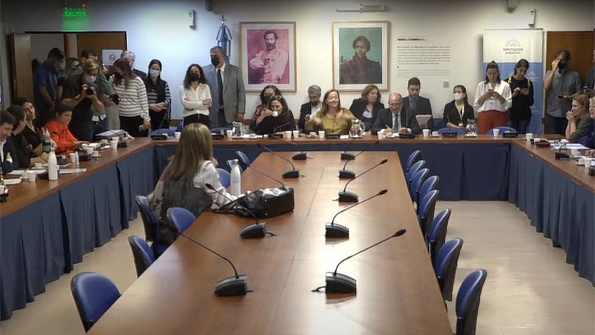 Una nueva Ley de Alquileres es analizada en Diputados.