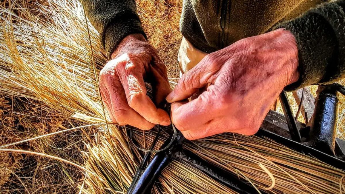 Manos a la obra. Las manos de don Juan preparan con destreza los haces de junquillo que luego enviará a sus compradores, fabricantes de escobas de todo el país. Manos a la obra. Las manos de don Juan preparan con destreza los haces de junquillo que luego enviará a sus compradores, fabricantes de escobas de todo el país.