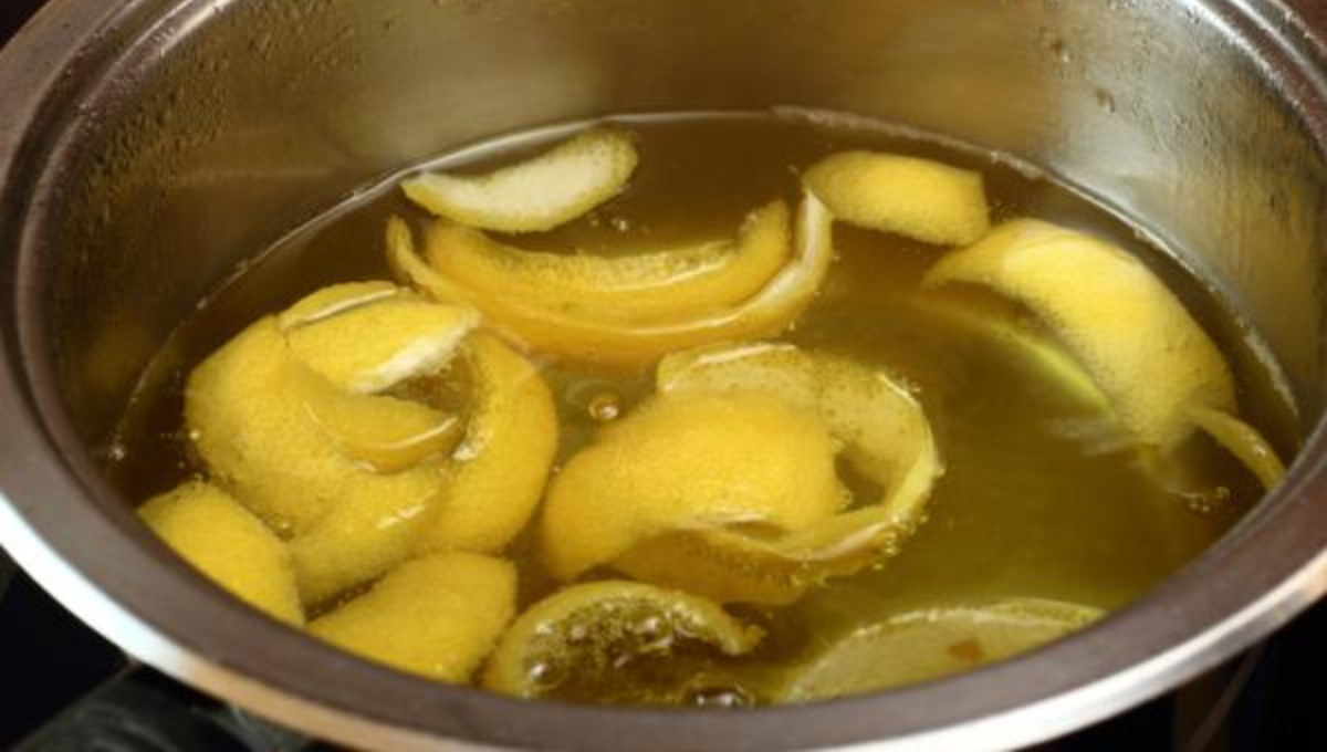 Estos son los remedios caseros que acaban con la plaga de garrapatas en primavera. Estos son los remedios caseros que acaban con la plaga de garrapatas en primavera.