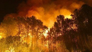 Incendio en Australia: 20 muertos y cielos al rojo vivo