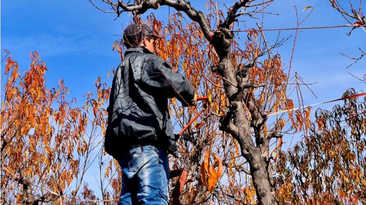 La funcionaria nacional que integra la investigación por trata de personas por parte de la ONG Remar en 5 provincias argentinas, aseguró que
