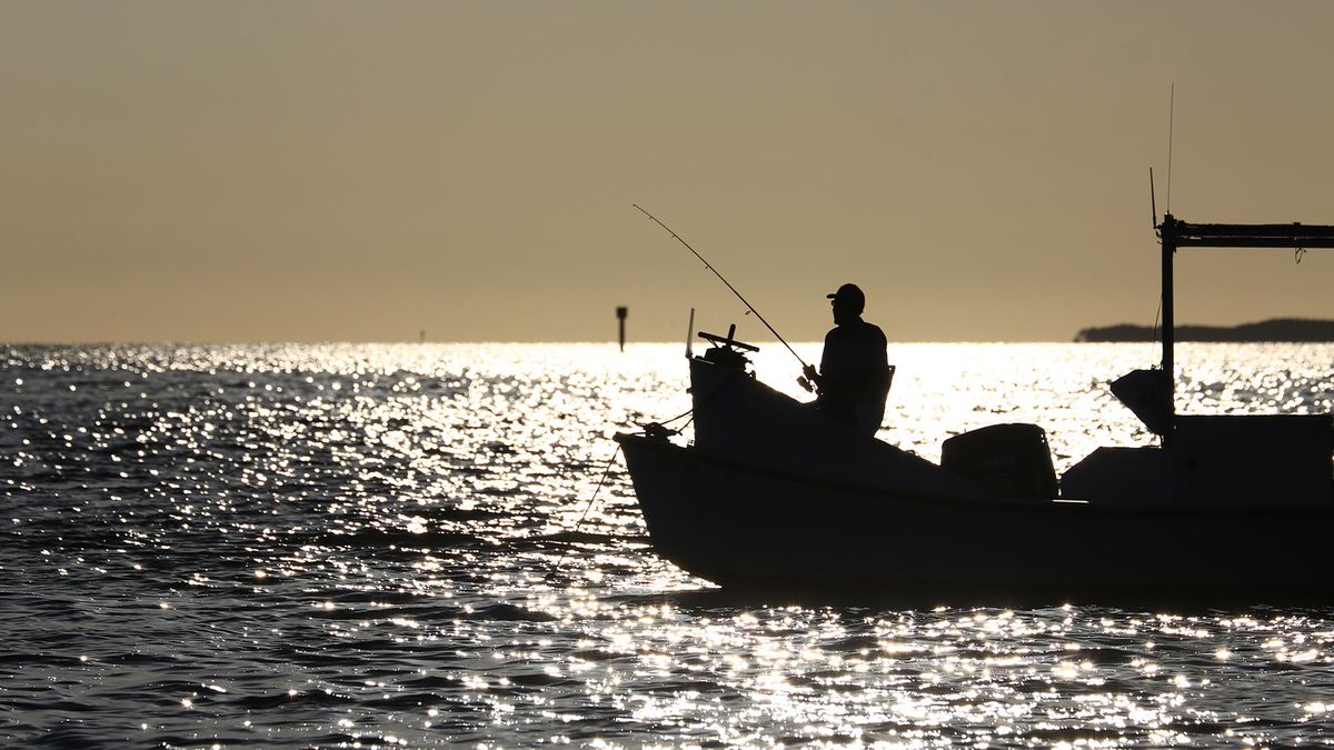 Cedar Key ofrece quizás la mejor pesca de América. Cedar Key ofrece quizás la mejor pesca de América.