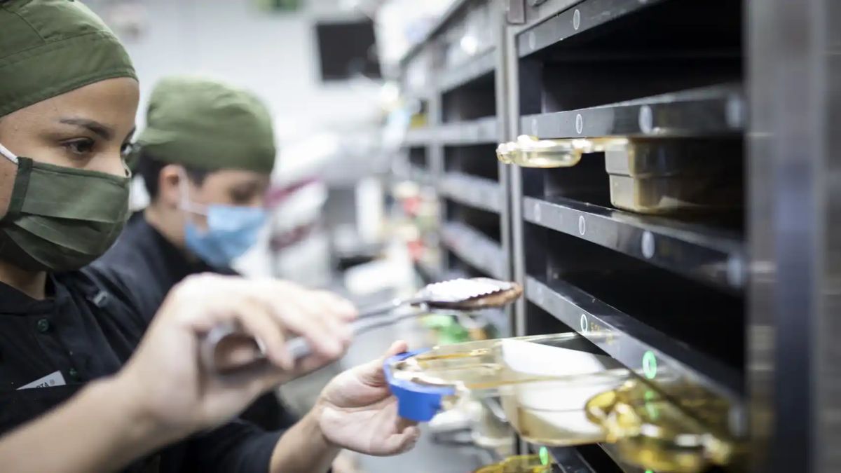 Video La reacción viral de un trabajador de al pedirle casi al cierre, 99 hamburguesas